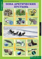 Окружающий мир 4 класс (комплект таблиц) - «globural.ru» - Саратов