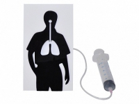 Демонстрационная модель "Эффект курения" - «globural.ru» - Саратов