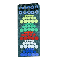 Дидактический набор «Кружки и зажимы» - «globural.ru» - Саратов