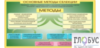 Стенд "Методы селекции и биотехнологии" - «globural.ru» - Саратов