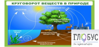Стенд "Круговорот веществ" - «globural.ru» - Саратов