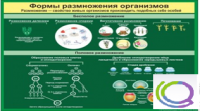 Стенд "Формы размножения организмов" - «globural.ru» - Саратов