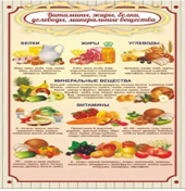 Стенд "Витамины, жиры, белки" - «globural.ru» - Саратов