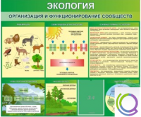 Стенд "Экология. Организация и функционирование сообществ" - «globural.ru» - Саратов