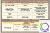 Стенд "Связь слов в словосочетании" - «globural.ru» - Саратов