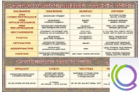 Стенд "Самостоятельные части речи" (вариант 2) - «globural.ru» - Саратов