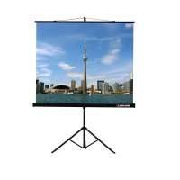 Проекционный экран на штативе Lumien Eco View (LEV-100105) 160x160 см - «globural.ru» - Саратов