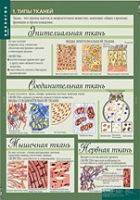 Биология 8-9 класс. Человек. (комплект таблиц) - «globural.ru» - Саратов