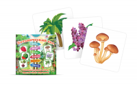 Набор карточек для знакомства с лексической темой растения "Ботанический сад" - «globural.ru» - Саратов