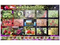 Комплект оборудования "Живой уголок" (растения) с тифлопереводом и сурдокомментариями - «globural.ru» - Саратов
