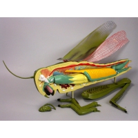 Модель "Кузнечик" - «globural.ru» - Саратов