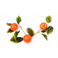 Муляж "Ветка мандарин" - «globural.ru» - Саратов