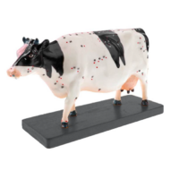 Электрифицированный макет коровы на каркасе - «globural.ru» - Саратов
