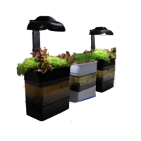 Учебная установка "Аквапоника"  - «globural.ru» - Саратов