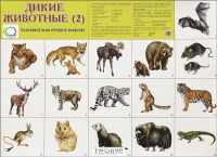 Раздаточные карточки "Дикие животные" часть 2 - «globural.ru» - Саратов
