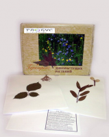 Гербарий Дикорастущие растения (28 видов) - «globural.ru» - Саратов