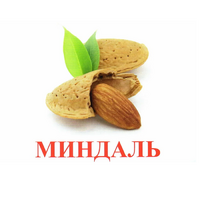 Карточки Домана "Орехи-Ягоды-2" - «globural.ru» - Саратов