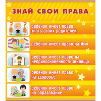Стенд "Знай свои права" - «globural.ru» - Саратов
