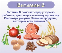 Стенд "Витамин В" - «globural.ru» - Саратов