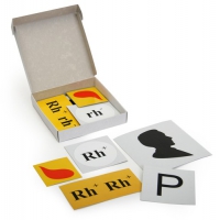 Модель-аппликация Наследование резус-фактора (набор из 19 карт) - «globural.ru» - Саратов