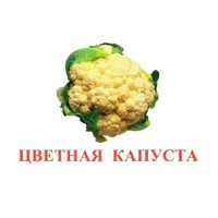 Карточки Домана "Овощи-Зелень-2" - «globural.ru» - Саратов