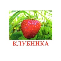 Карточки Домана "Ягоды-1" - «globural.ru» - Саратов