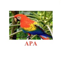 Карточки Домана "Птицы-2" - «globural.ru» - Саратов