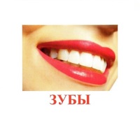 Карточки Домана "Части тела" - «globural.ru» - Саратов