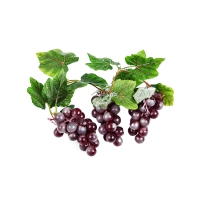 Ветка муляжей "Виноград" - «globural.ru» - Саратов