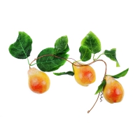 Муляж "Ветка груши" - «globural.ru» - Саратов