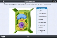 Интерактивные курсы. Биология 9 класс. Расширенный - «globural.ru» - Саратов