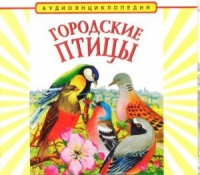 CD "Аудиоэнциклопедия. Городские птицы" - «globural.ru» - Саратов