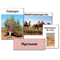 Модель-аппликация "Природные зоны России" - «globural.ru» - Саратов