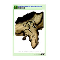 Рельефная таблица "Археоптерикс" (формат А1, матовое ламинир.) - «globural.ru» - Саратов