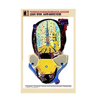 Рельефная таблица "Долька печени. Макро-микростроение" (формат А1, матовое ламинир.) - «globural.ru» - Саратов