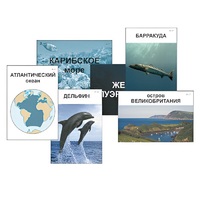 Модель-аппликация "Океаны. Знакомство" (ламинированная) - «globural.ru» - Саратов
