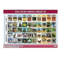 Таблица демонстрационная "Почвы, растения и животные природных зон" (винил 70x100) - «globural.ru» - Саратов