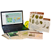 Гербарий натурально-интерактивный к курсу основ общей биологии - «globural.ru» - Саратов