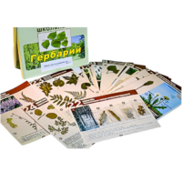 Гербарий к курсу основ общей биологии - «globural.ru» - Саратов