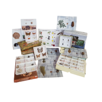 Комплект коллекций демонстрационный - «globural.ru» - Саратов