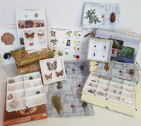 Комплект коллекций демонстрационный (по разным темам курса биологии) - «globural.ru» - Саратов