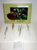 Гербарий Культурные растения (28 видов) - «globural.ru» - Саратов