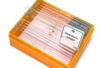 Набор микропрепаратов N10 - «globural.ru» - Саратов