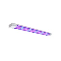 Фитолампа - «globural.ru» - Саратов