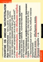 Русский язык. Числительное и местоимение (комплект таблиц) - «globural.ru» - Саратов