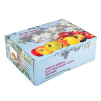 Набор муляжей "Дикая форма и культурные сорта яблок" - «globural.ru» - Саратов