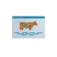 Стенд-планшет светодинамический "Изучение нервной системы сельскохозяйственных животных" со сменными панелями - «globural.ru» - Саратов