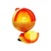 Модель "Строение Солнца" (разборная) - «globural.ru» - Саратов