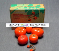 Муляжи Дикая форма и культурные сорта томатов - «globural.ru» - Саратов