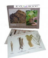 Коллекция "Торф и продукты его переработки" (вариант 1) - «globural.ru» - Саратов
